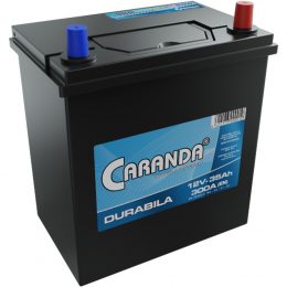 Baterie Auto Caranda Durabila