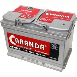 12V 80Ah 720A 5 MAXIMA