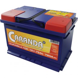 Baterie Auto Caranda Durabila Top