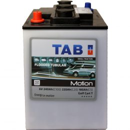 TAB TUBULAR GOLF CART T 6V 180Ah 1