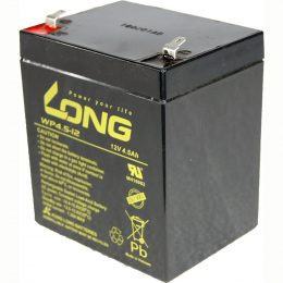 12V 4.5Ah WP4.5-12