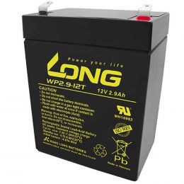 LONG 12V 2.9Ah