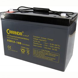 FCD 12V 100Ah acumulator Deep Cycle