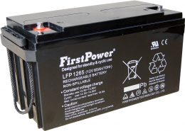 12V 65Ah LFP1265