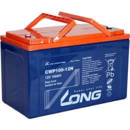 12V 100Ah CWP100-12N LONG (3)