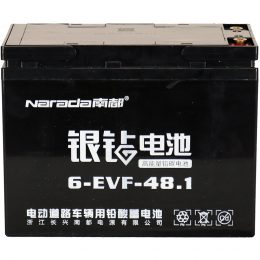 12V 48.1Ah 6-EVF-48.1 Naranda (2)