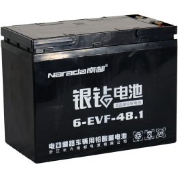 12V 48.1Ah 6-EVF-48.1 Naranda (3)