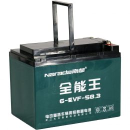 12V 58.3 6Ah-EVF-58.3 Narada (3)