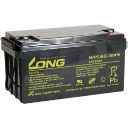 12V 65Ah WPL65-12AN LONG (3)