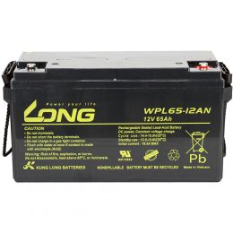 12V 65Ah WPL65-12AN LONG (5)