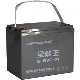 12V 71Ah 6-EVF-71 Narada (3)