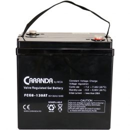 6V 130Ah FCG6-130AT MCA (5)